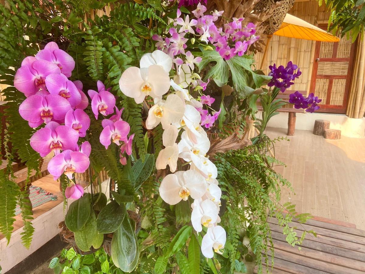 Ban Rai Jai Chaem - Spa Cafe & Homestay 외부 사진